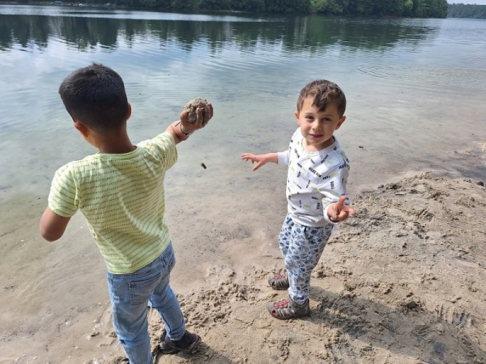 Bild Die Spatzen zu Besuch am Straussee