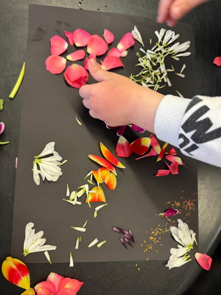Bild Mandalas aus Blüten und gefrorene Blumen
