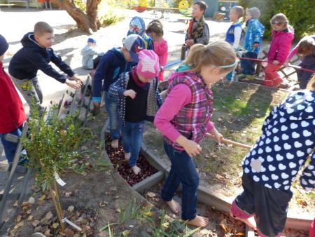 Bild Das Barfußgehen 