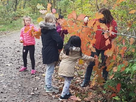 Bild Herbstferien im Hort